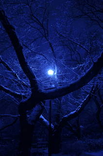201102140092.JPG