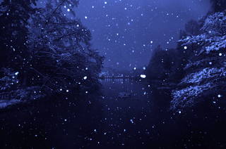 201102140174.JPG