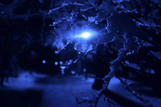 201102150010.JPG