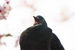 _201104110056.jpg