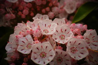 201105170011.JPG