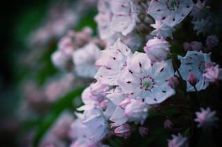201105170019.JPG