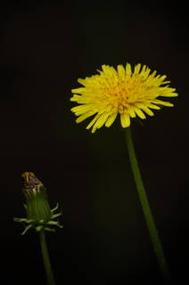 _201105170080.JPG