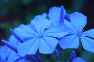20110724-0102-.JPG