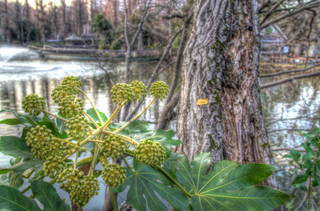 R1037744_5_6_tonemapped.jpg
