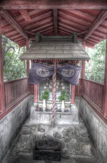 R1037777_8_9_tonemapped.jpg