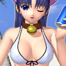 shu-3d_c06_.jpg