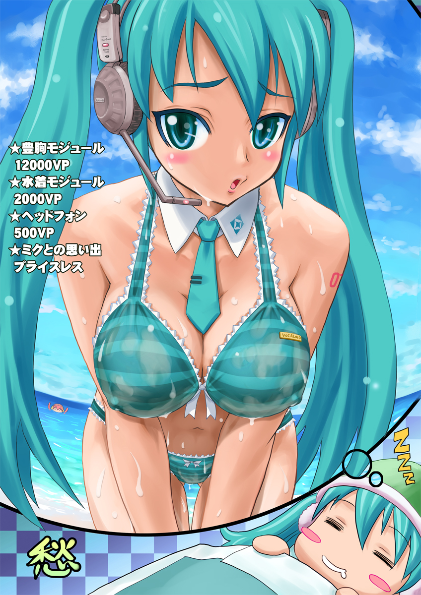 shu-cg73